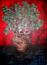 money plant